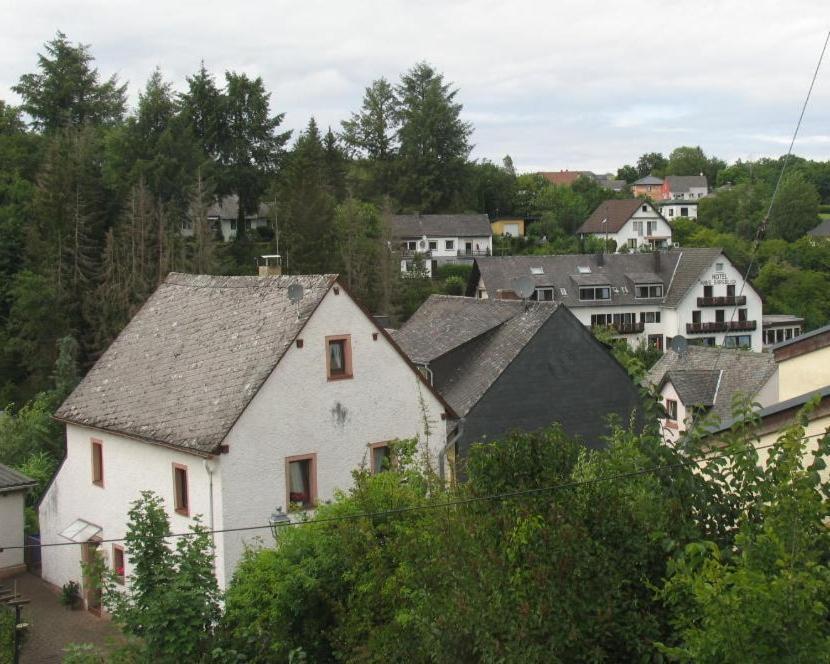 Um Die Ecke Daire Manderscheid Dış mekan fotoğraf