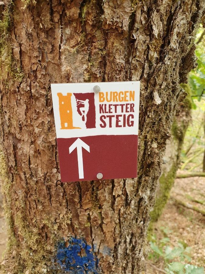 Um Die Ecke Daire Manderscheid Dış mekan fotoğraf